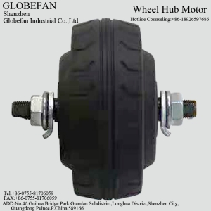 BL10868DI01 Hub Motor