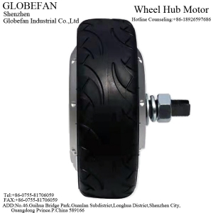 BL23994DI01 Hub Motor