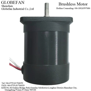 BL5775  BLDC Motor