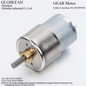 GF-27A310 Geared Motor